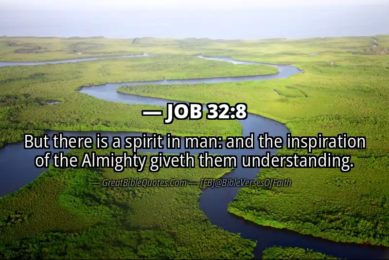 JOB 32:8 Verse