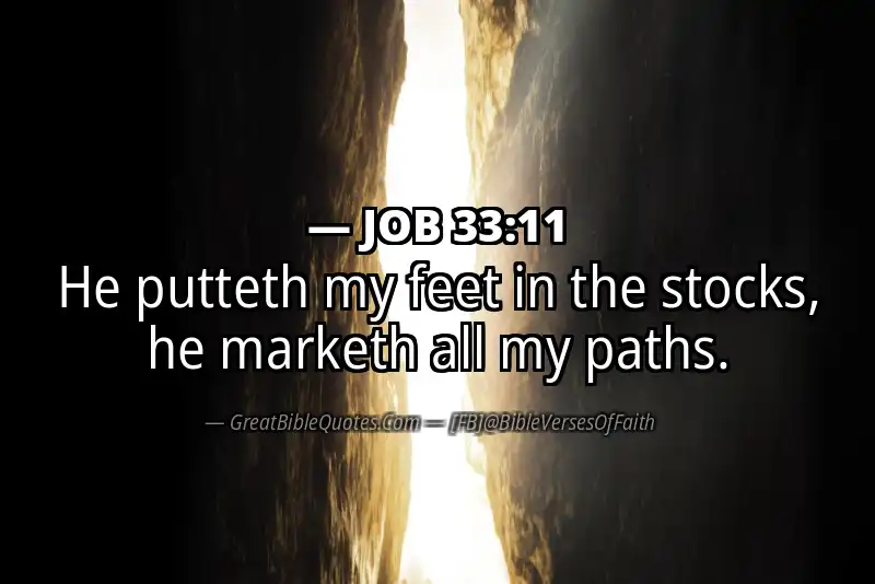 JOB 33:11 Verse