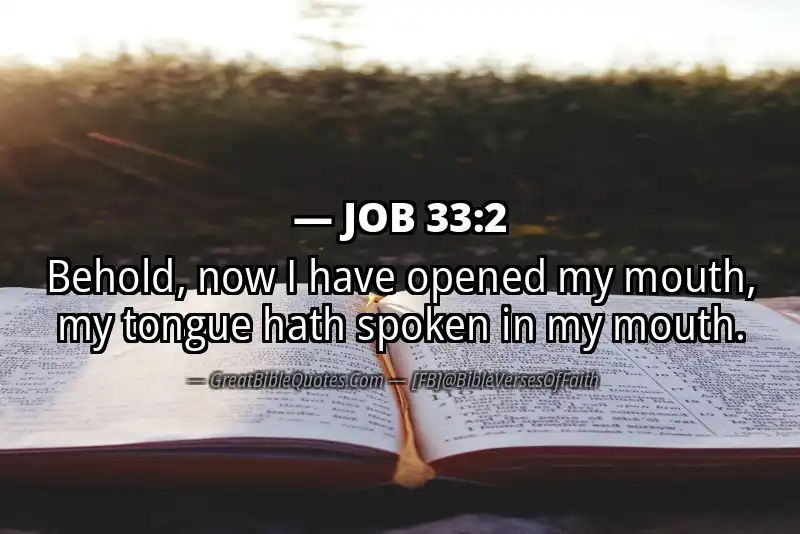 JOB 33:2 Verse