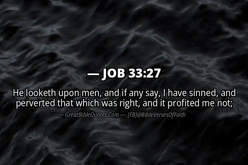 JOB 33:27 Verse