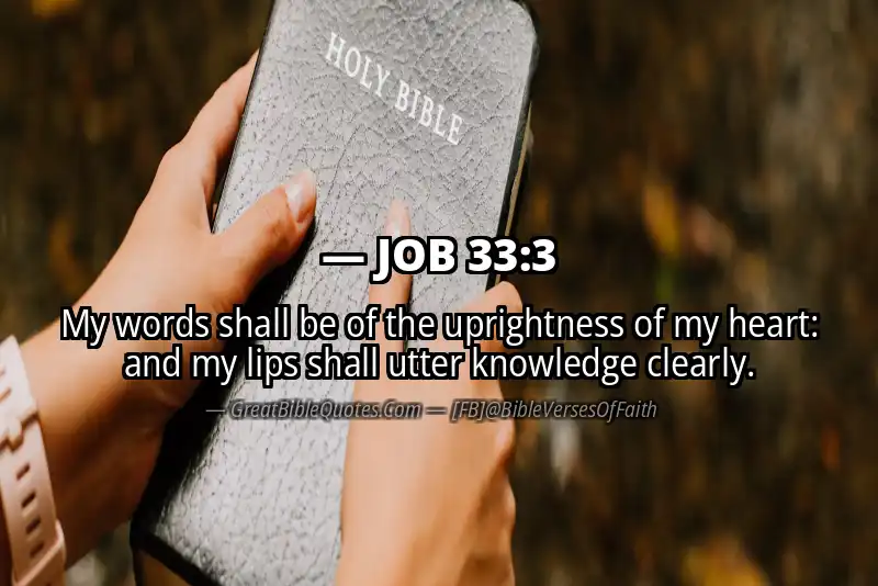 JOB 33:3 Verse