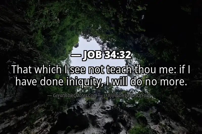 JOB 34:32 Verse Image