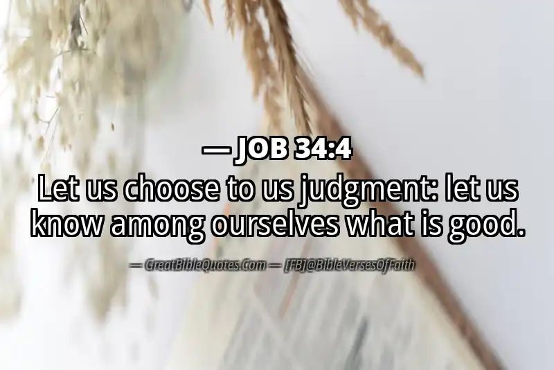 JOB 34:4 Verse