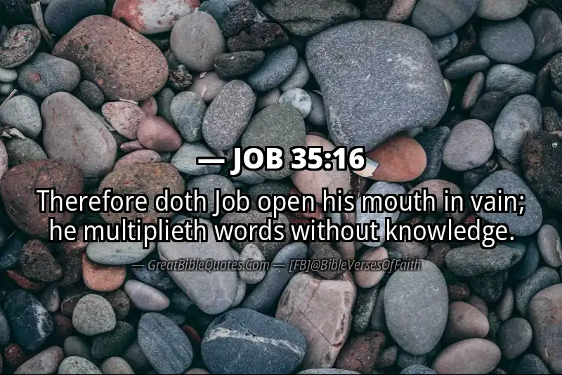 JOB 35:16 Verse
