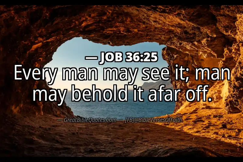 JOB 36:25 Verse