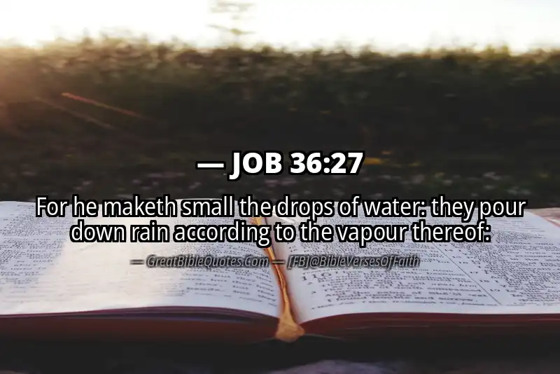 JOB 36:27 Verse