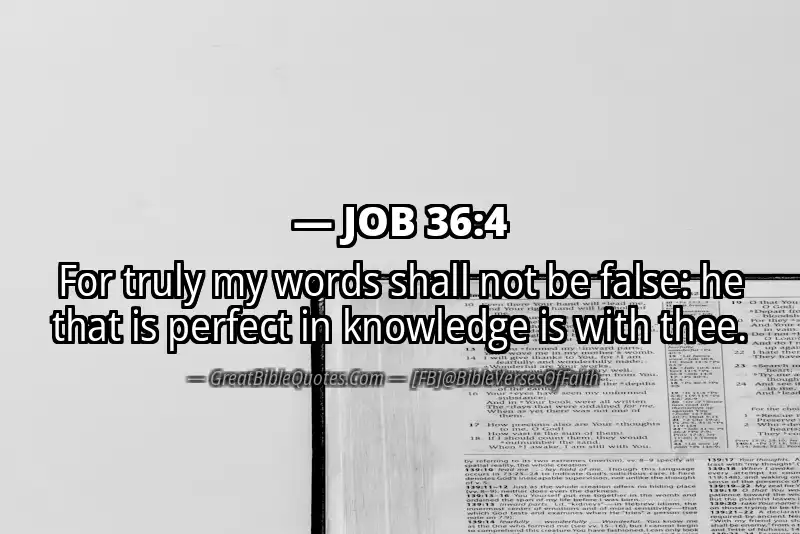 JOB 36:4 Verse