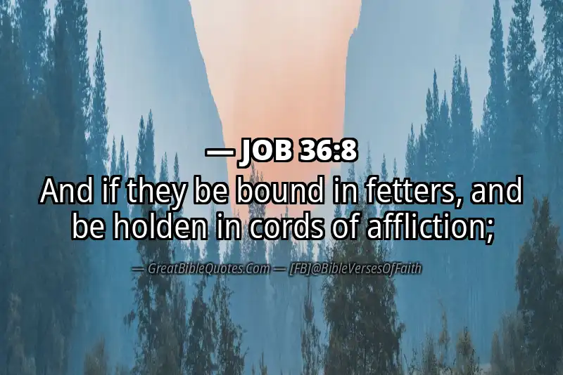 JOB 36:8 Verse