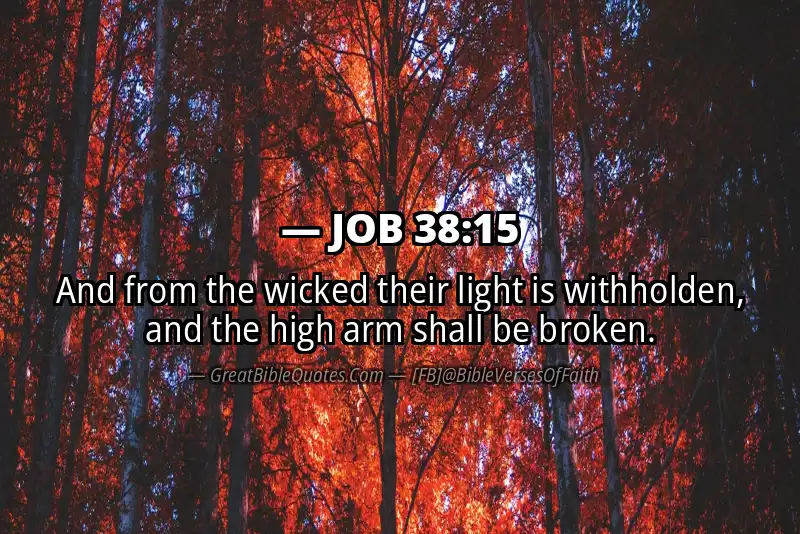JOB 38:15 Verse