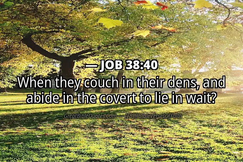 JOB 38:40 Verse Image
