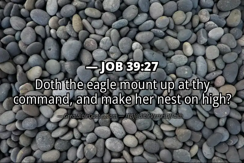 JOB 39:27 Verse