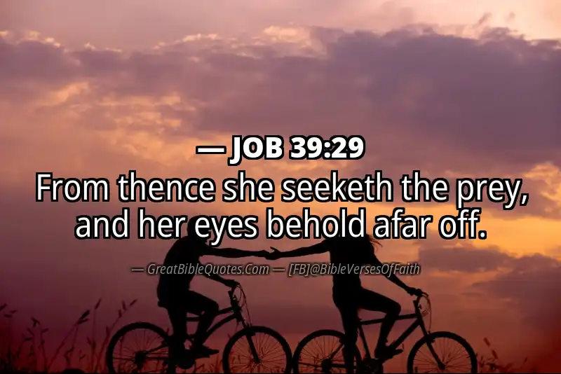 JOB 39:29 Verse