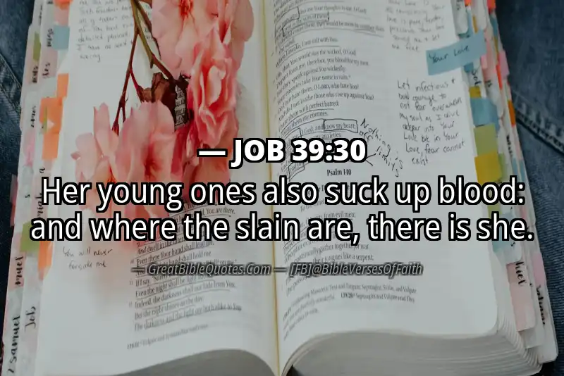 JOB 39:30 Verse