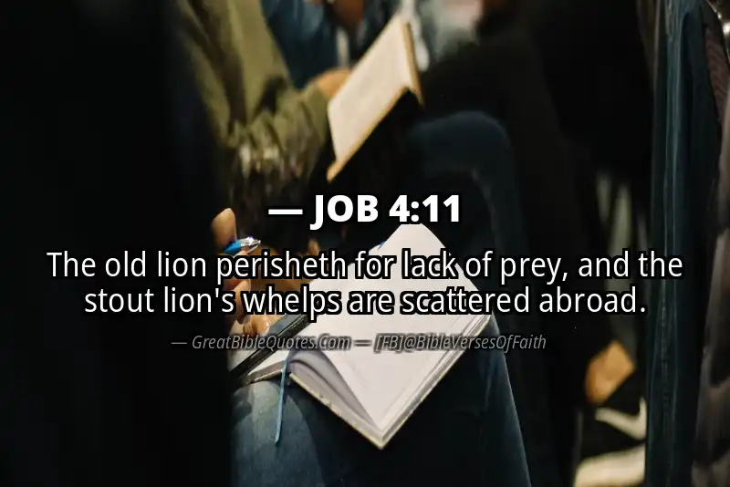 JOB 4:11 Verse