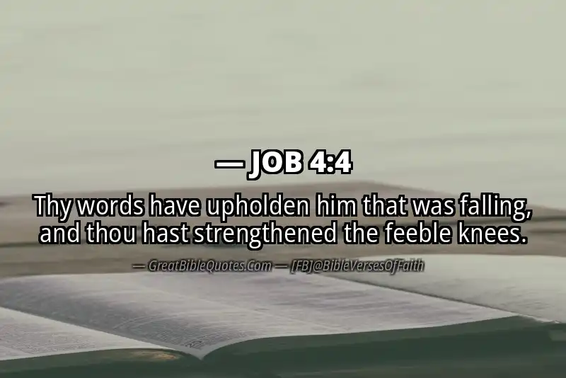 JOB 4:4 Verse Image
