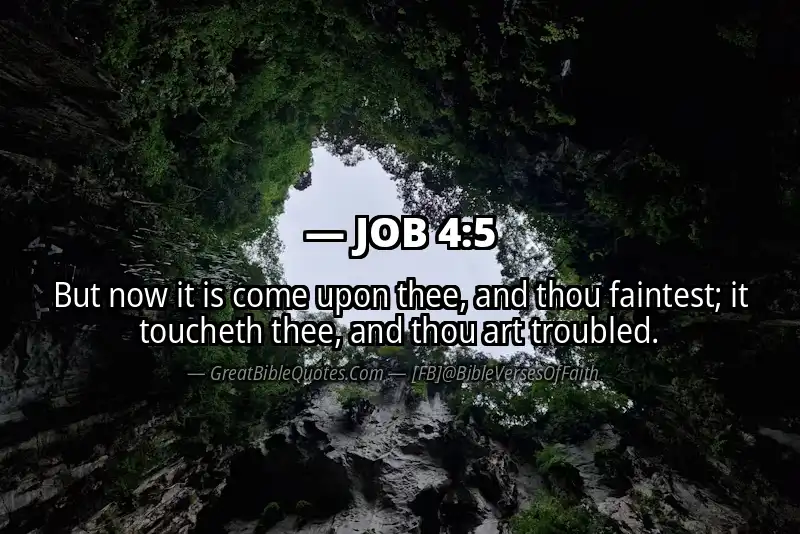 JOB 4:5 Verse Image