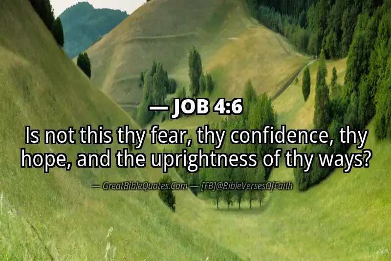 JOB 4:6 Verse Image
