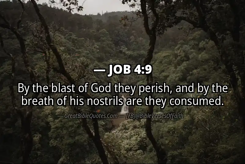JOB 4:9 Verse