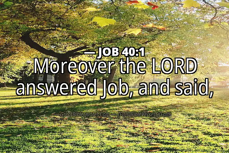 JOB 40:1 Verse