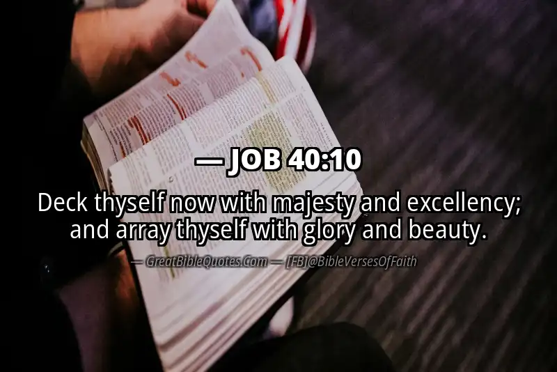 JOB 40:10 Verse