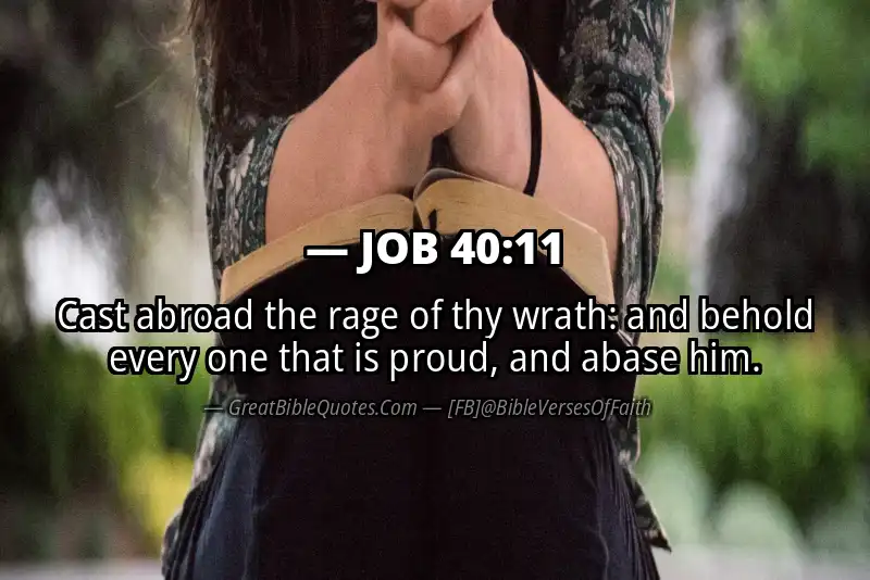JOB 40:11 Verse