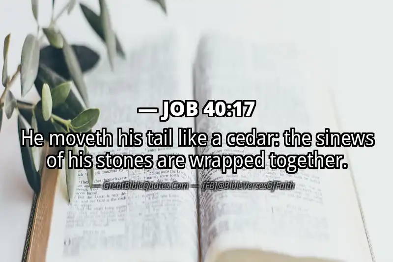 JOB 40:17 Verse