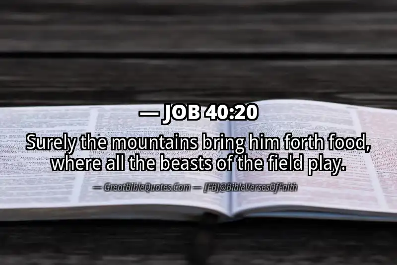 JOB 40:20 Verse