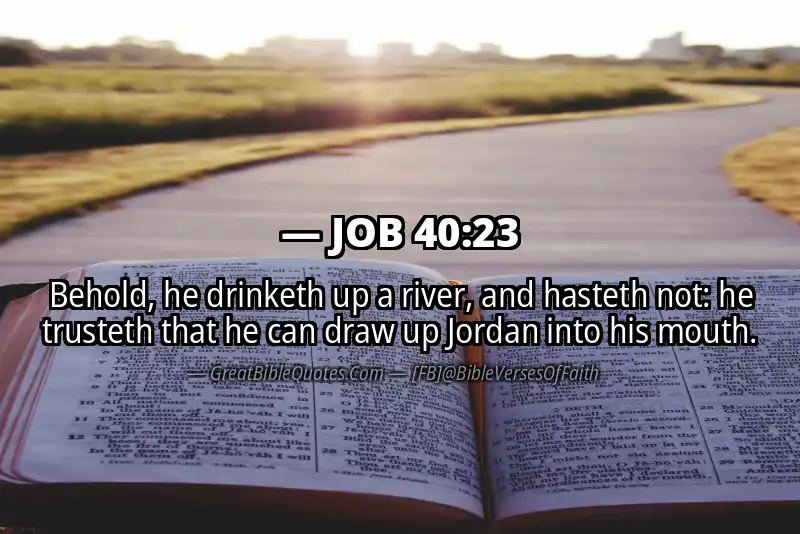 JOB 40:23 Verse
