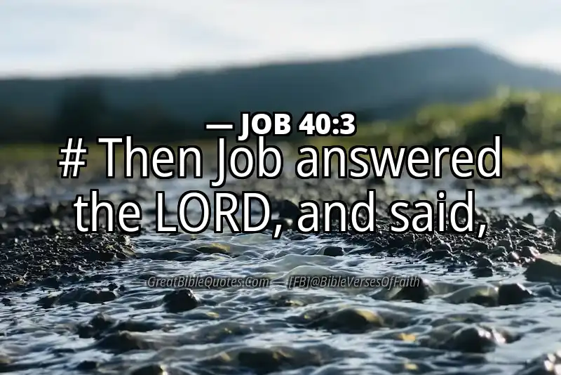 JOB 40:3 Verse