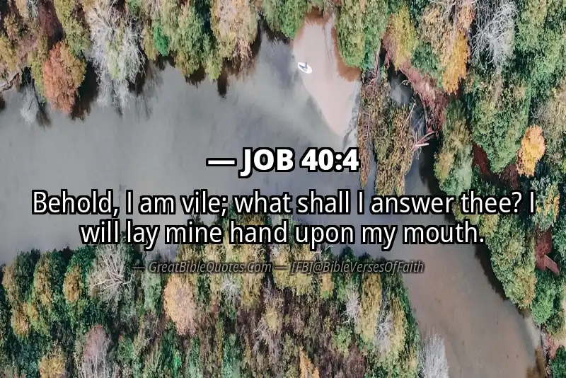 JOB 40:4 Verse