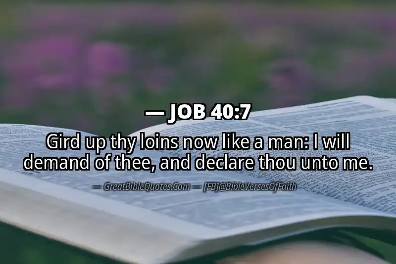 JOB 40:7 Verse