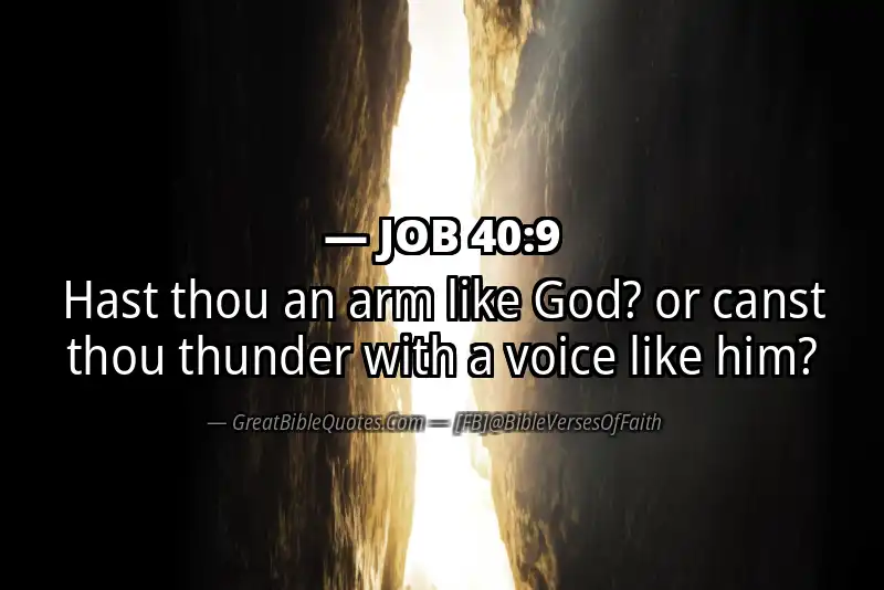 JOB 40:9 Verse