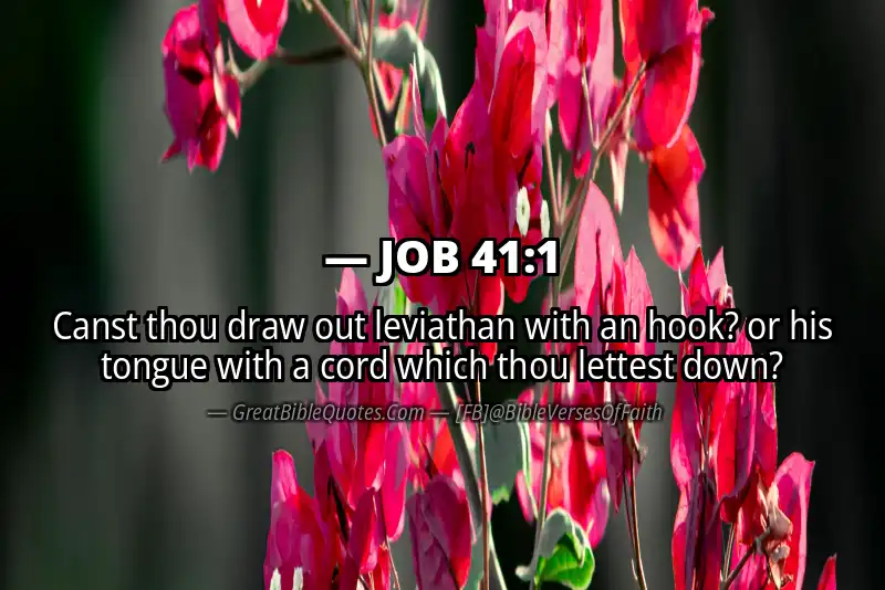 JOB 41:1 Verse