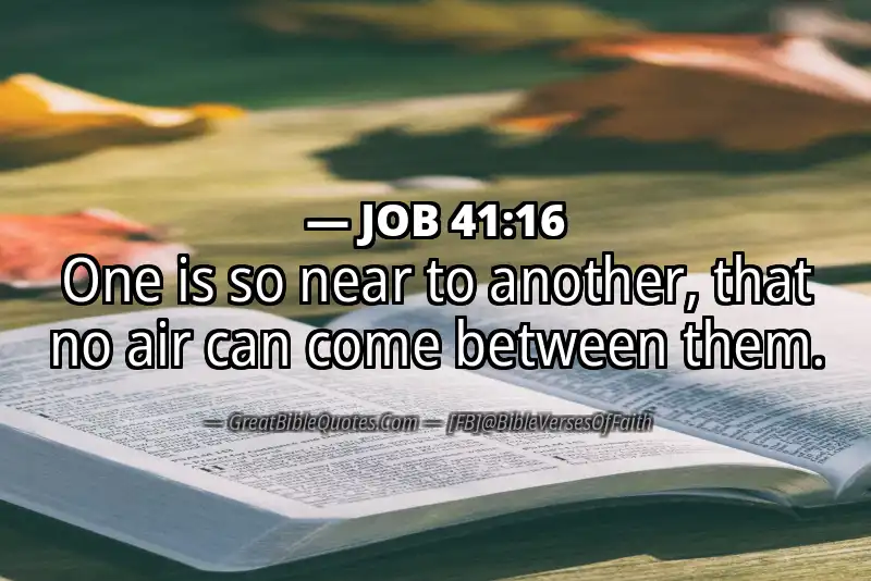 JOB 41:16 Verse