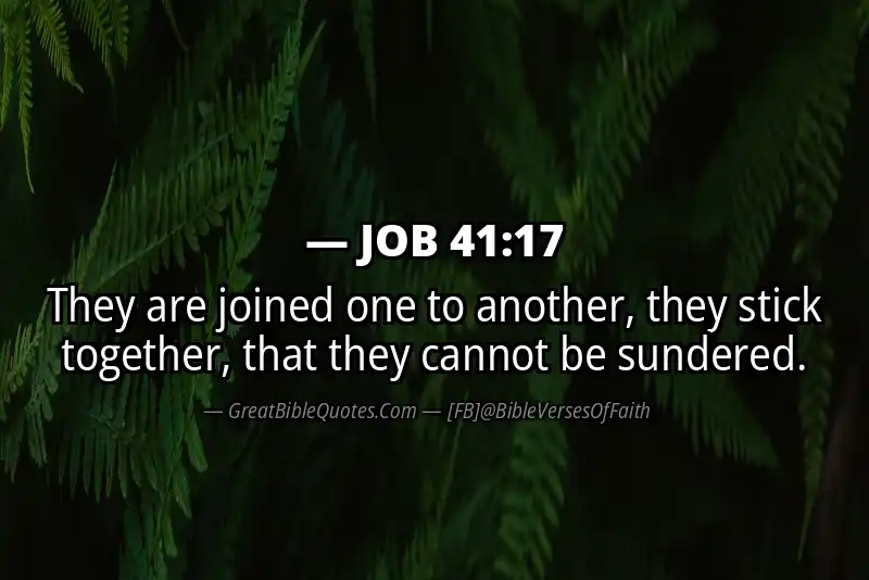 JOB 41:17 Verse