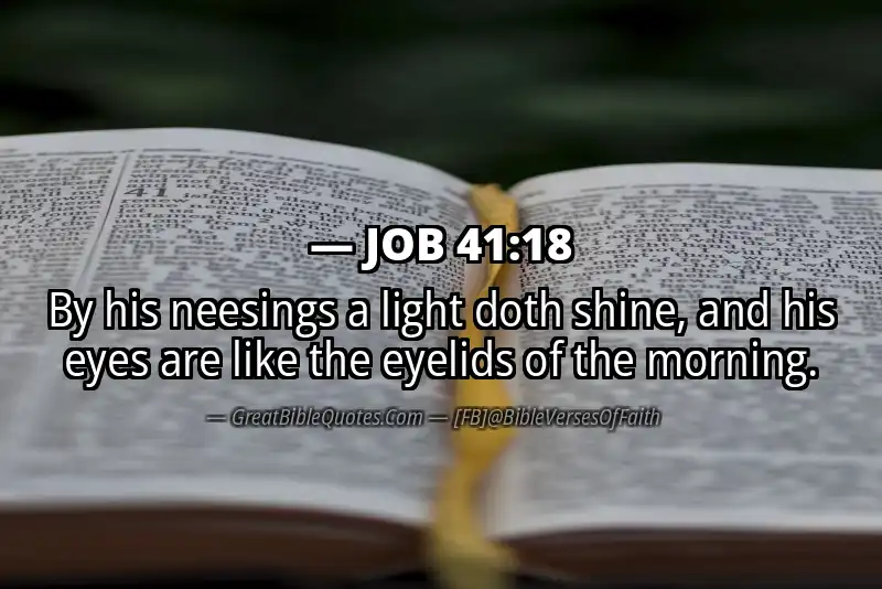 JOB 41:18 Verse