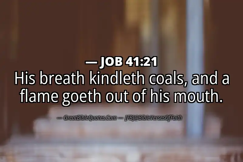 JOB 41:21 Verse