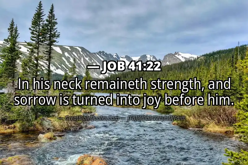 JOB 41:22 Verse