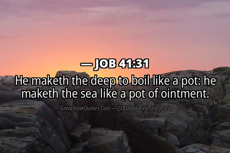 JOB 41:31 Verse