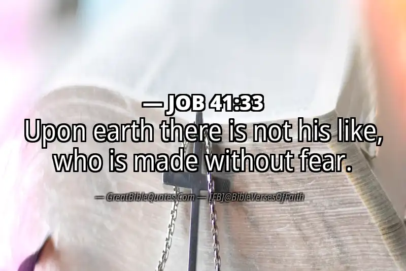 JOB 41:33 Verse