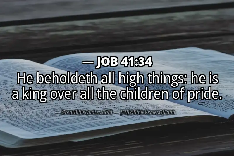 JOB 41:34 Verse