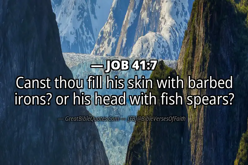 JOB 41:7 Verse