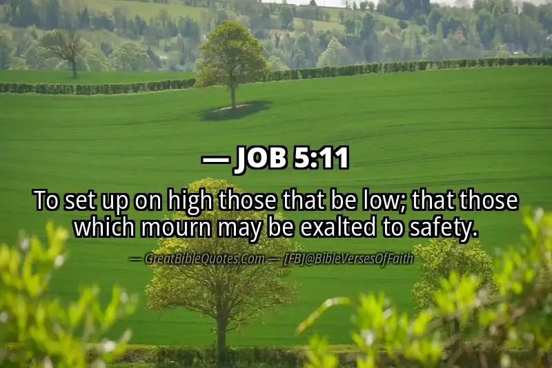 JOB 5:11 Verse