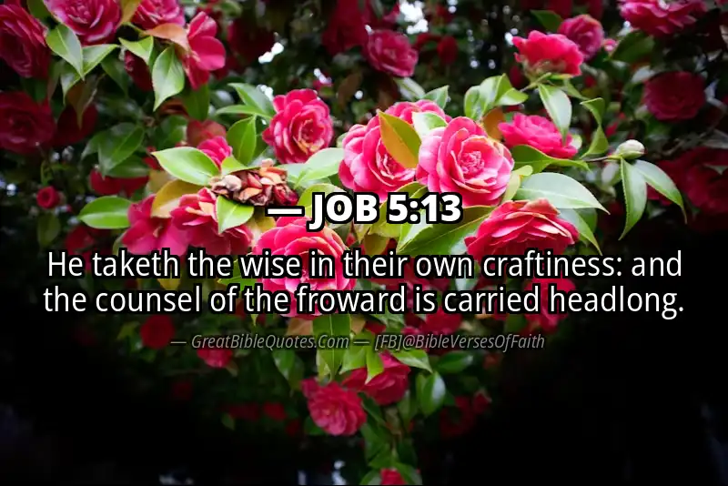 JOB 5:13 Verse