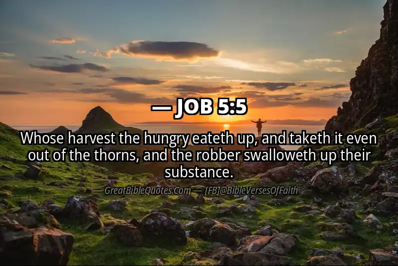 JOB 5:5 Verse