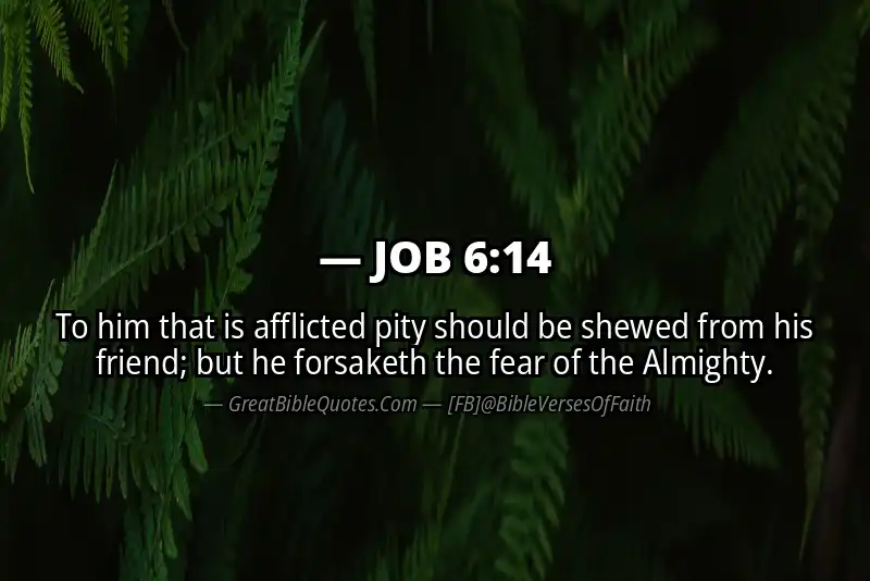 JOB 6:14 Verse