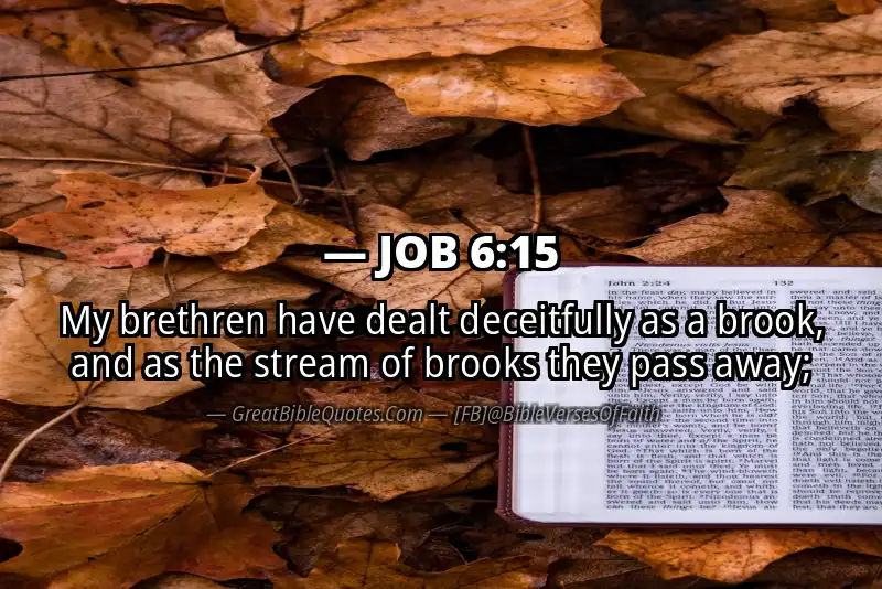 JOB 6:15 Verse