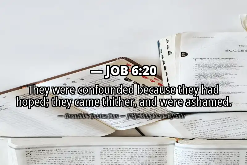 JOB 6:20 Verse Image
