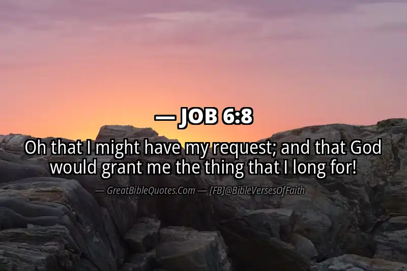 JOB 6:8 Verse