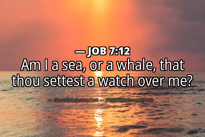JOB 7:12 Verse
